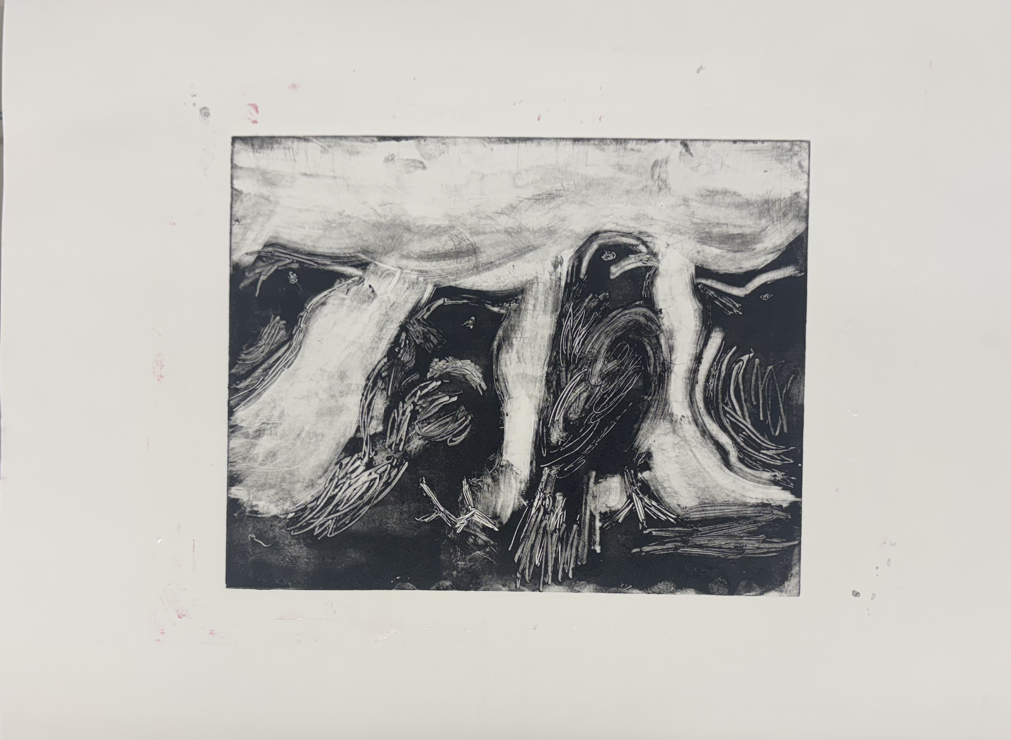 artwork of birds